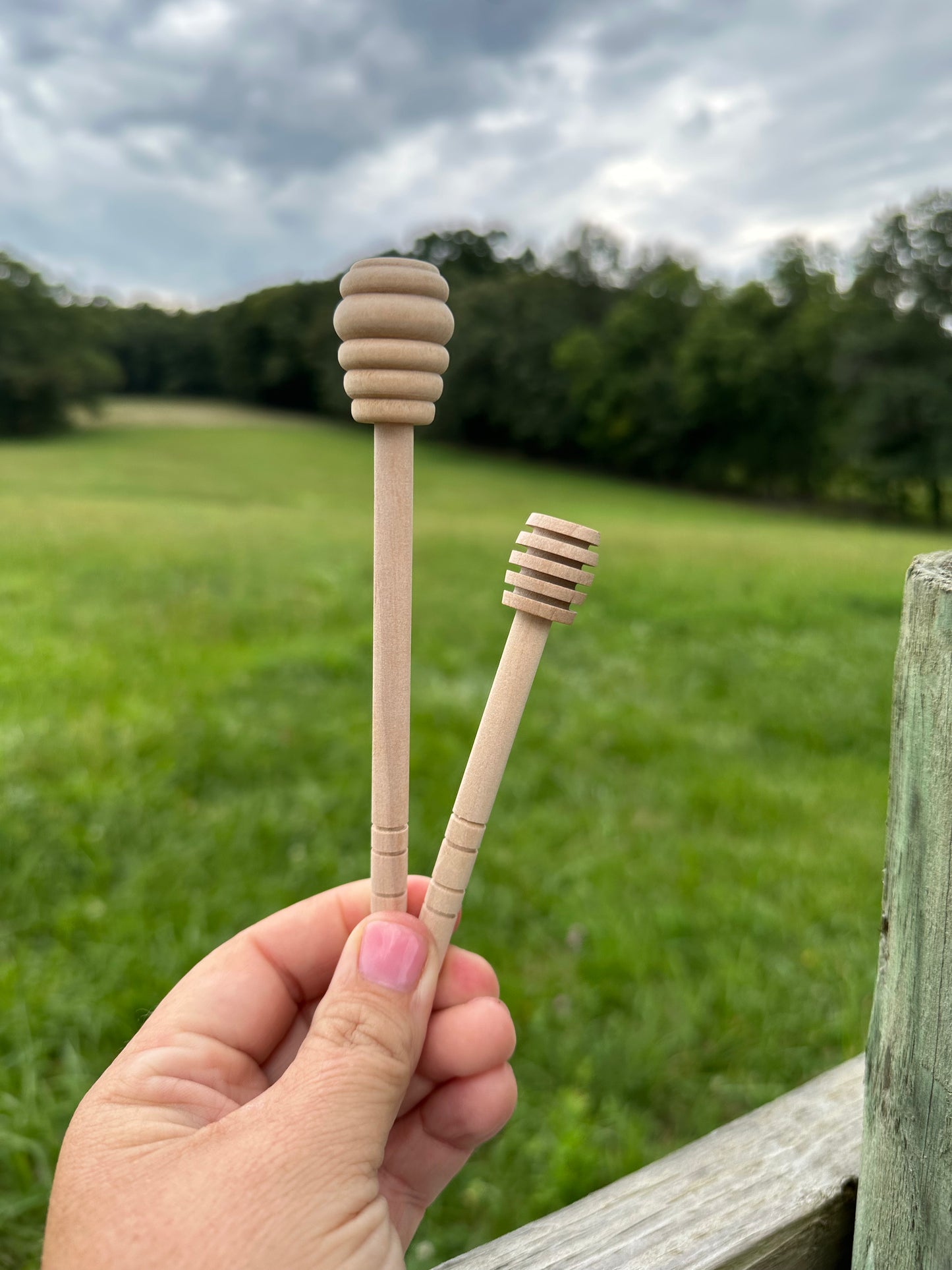 Honey Dippers