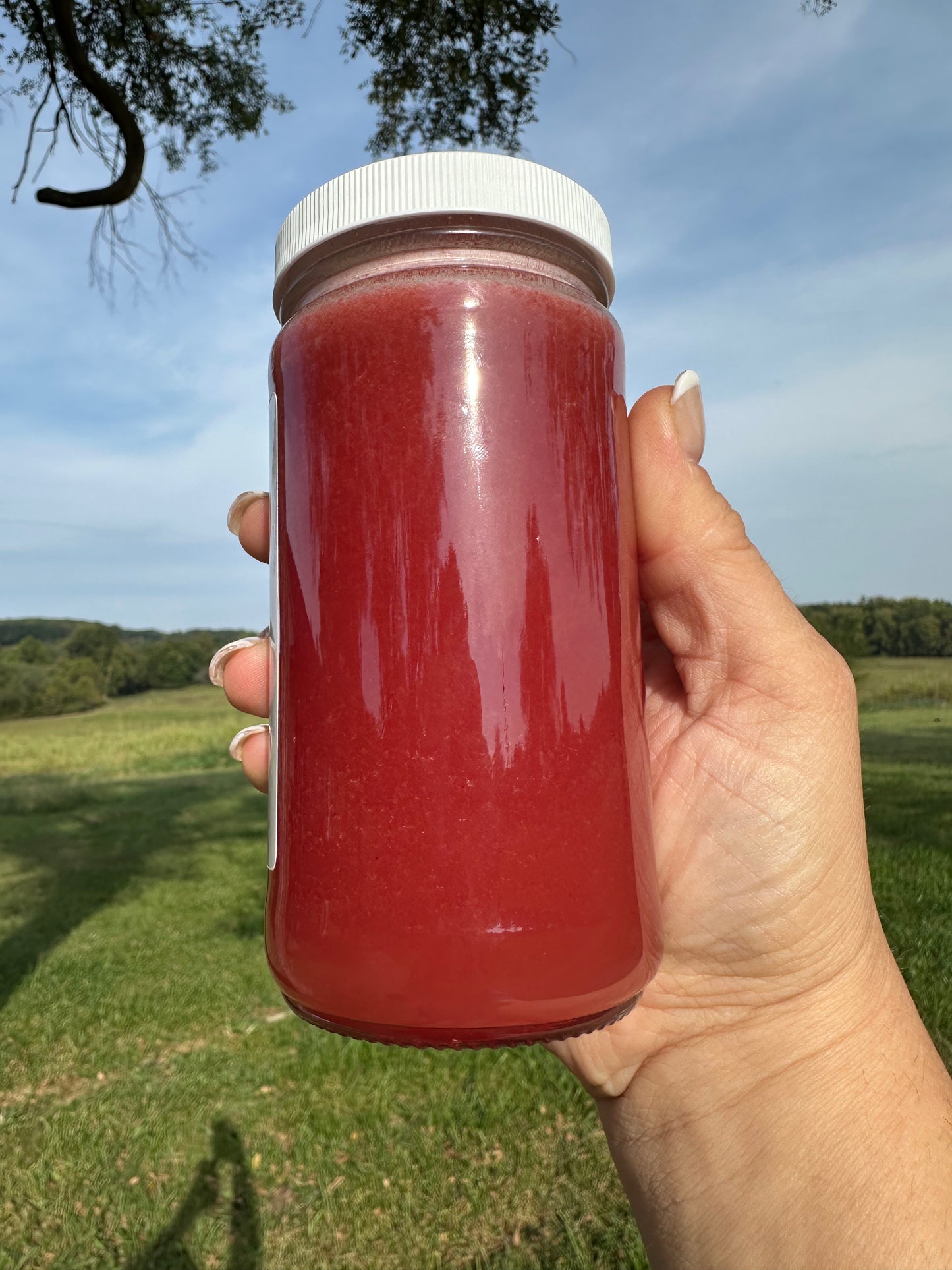 Raspberry Whipped Honey