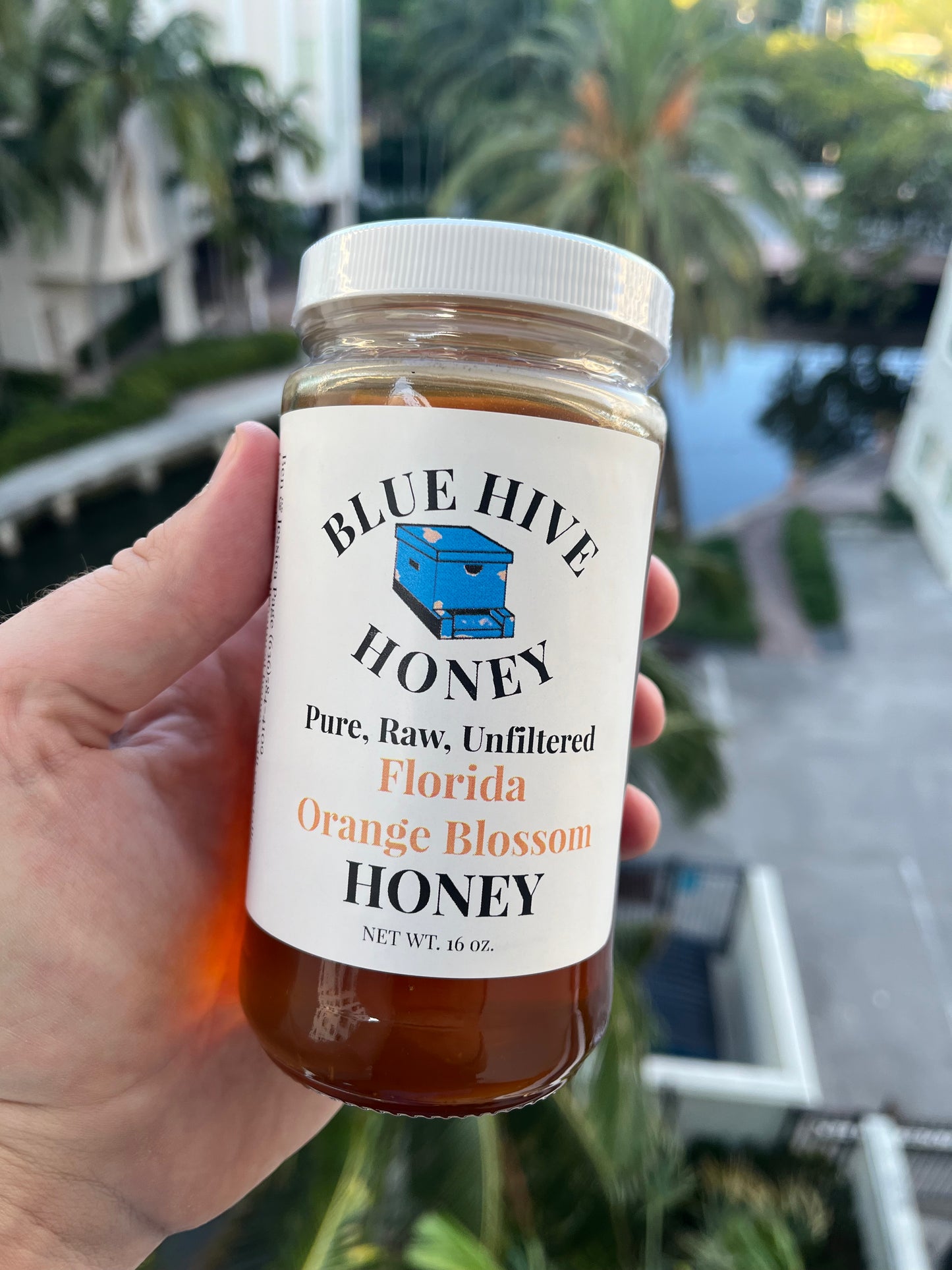Florida Orange Blossom Honey