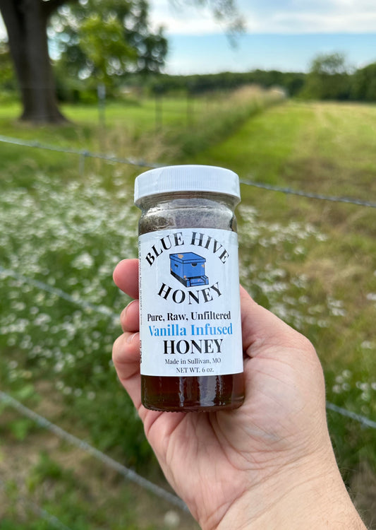 Vanilla Infused Honey - Blue Hive Honey